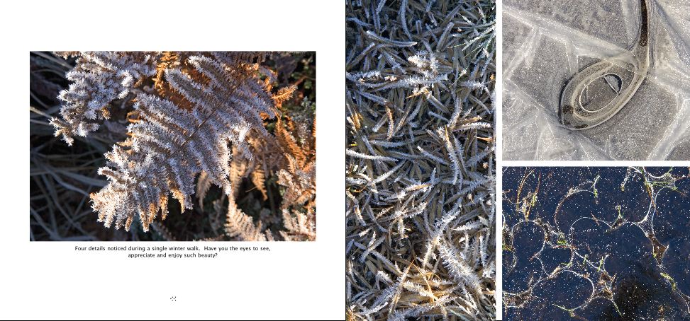 QuarkXPressScreenSnapz009